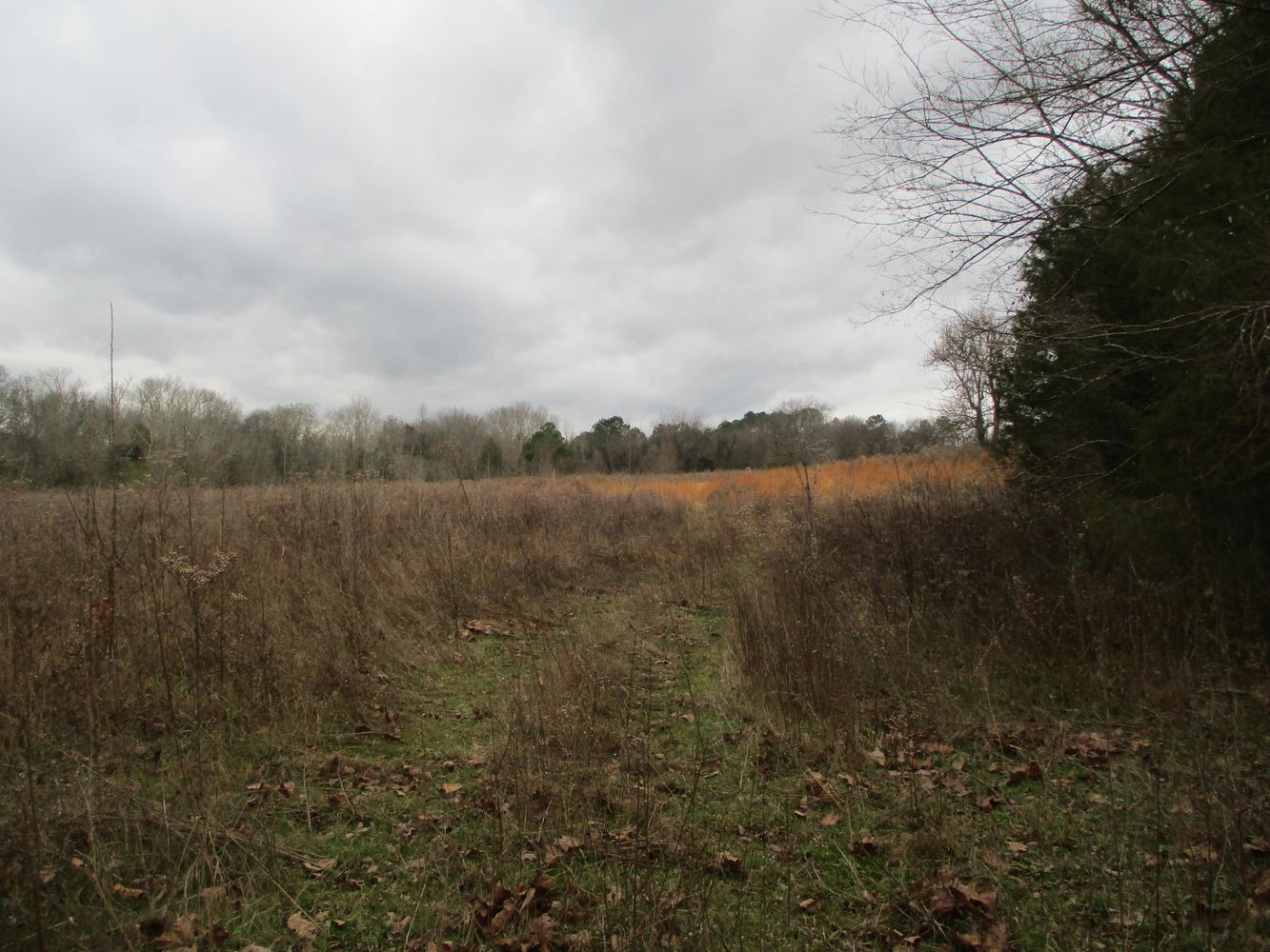Highway 11 & County Rd 716: Highway 11 & County Rd 716, Riceville, TN 37370